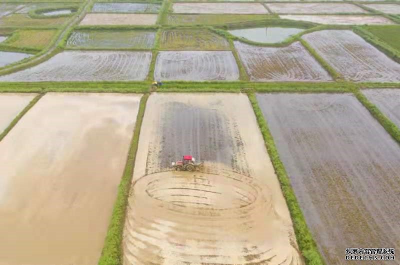 “谷雨”时节春耕忙田间地头抢农时