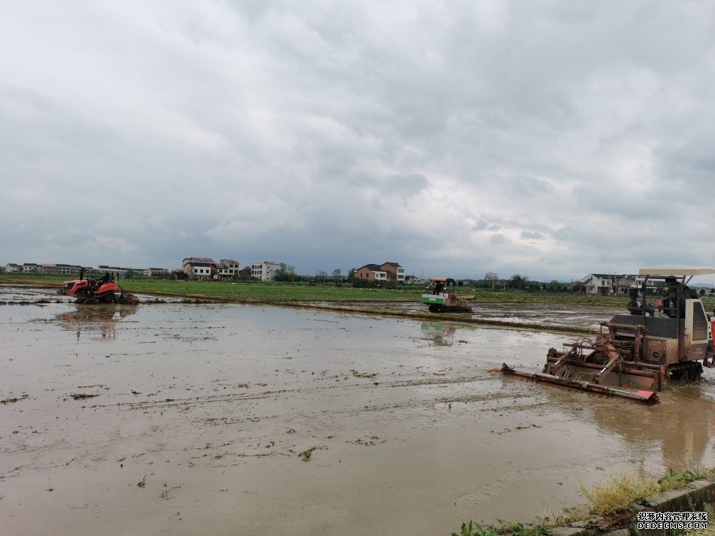 “谷雨”时节春耕忙田间地头抢农时