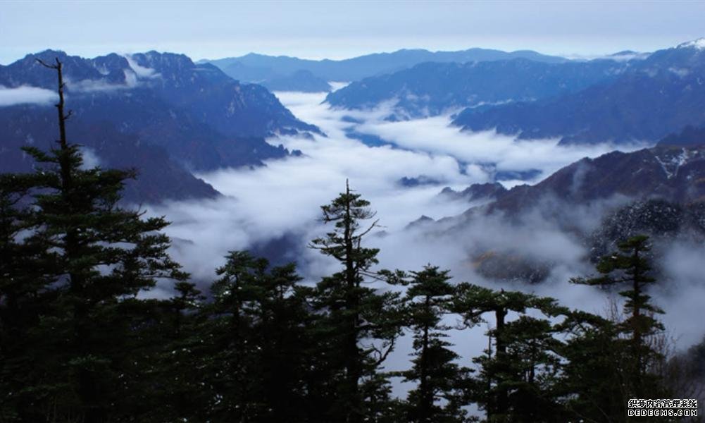 国际生物多样性日：呵护自然共同守护地球家园