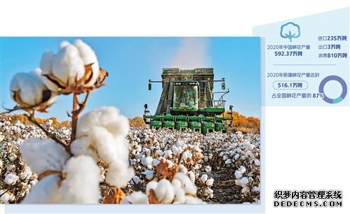 中国棉花：稳产销树标准
