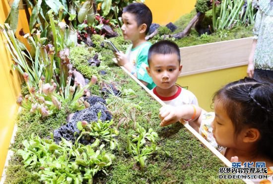 萌芽幼植园里观植物