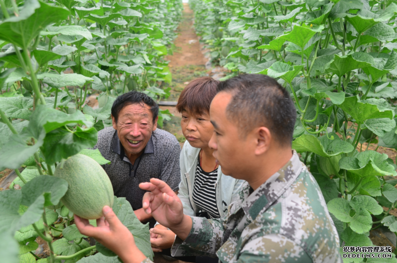 技术员在向瓜农介绍种植技术。受访者供图