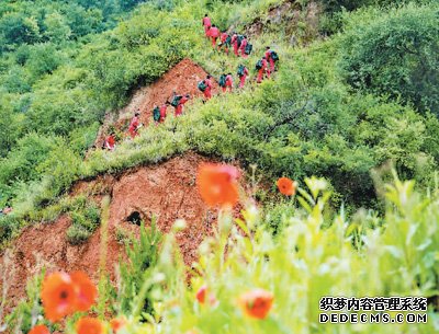 黄土高原有支“绿色勘探队”