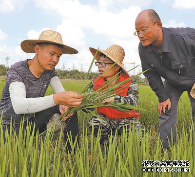 人才支撑强起来乡村人气旺起来（乡村振兴怎么干④）