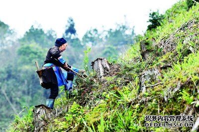 绿色低碳发展，不妨试试基于自然的解决方案