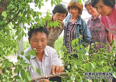 咱是有职称的新农民（深阅读·关注乡村人才振兴）