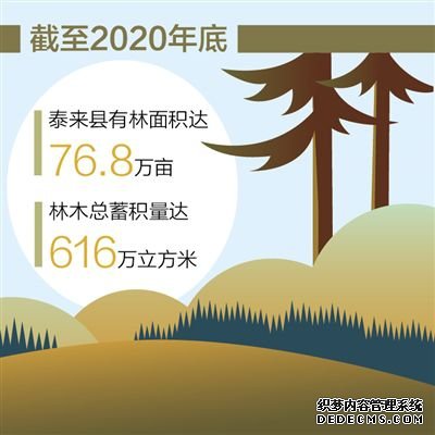 40多年，筑起一道绿色屏障