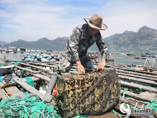 第四个中国农民丰收节：浓墨重彩绘就美景秋收唱响大地赞歌