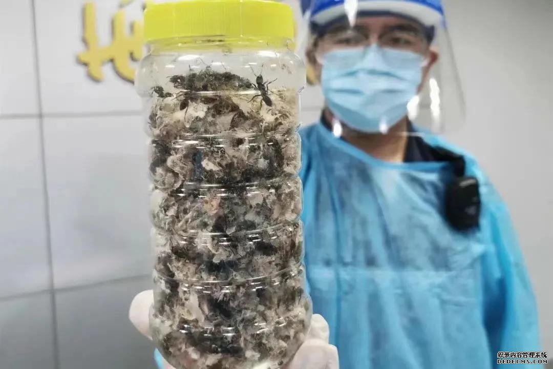 海关总署：1-8月截获检疫性有害生物超4万种次