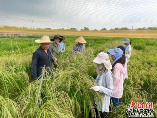 助力“绿色育种”科研人员揭示植物“聪明的防卫艺术”