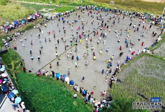贵州剑河：乡村“开鱼节”庆丰收