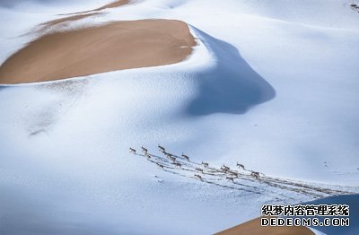 三江源生态保护见成效