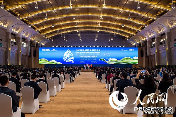10月11日，联合国《生物多样性公约》缔约方大会第十五次会议（COP15）在云南昆明开幕。（人民网记者 翁奇羽摄）