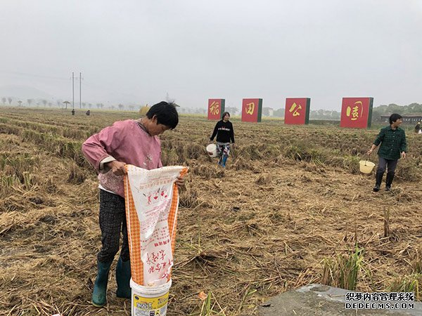 以生态文明建设擦亮美好生活底色湖南省探索绿色发展新路径