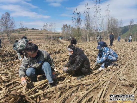 颗粒归仓！各地开展“双抢”打赢秋收“攻坚战”