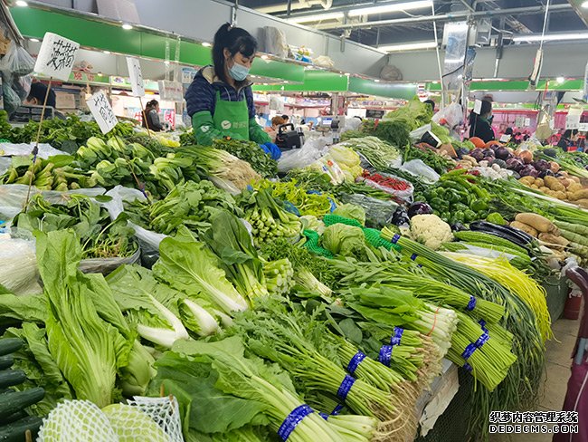 别慌！全国蔬菜供应总量充足“两节”前后可为每人每天提供3斤菜