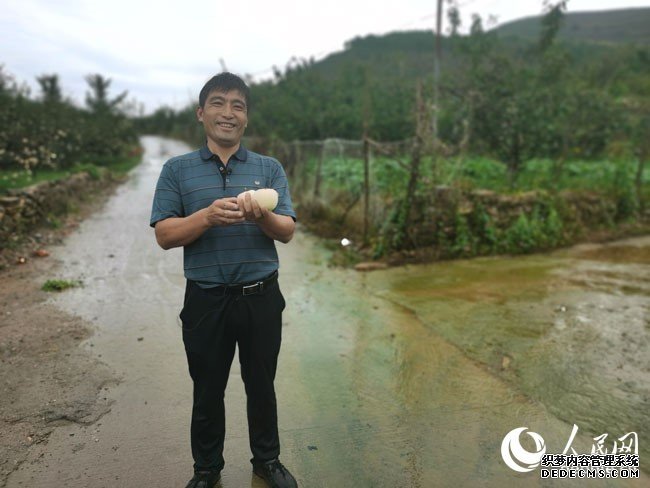 农行在齐鲁大地打造服务乡村振兴高质量样本