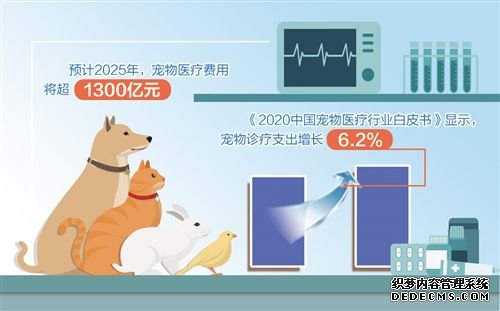 宠物医疗险为啥叫好不叫座