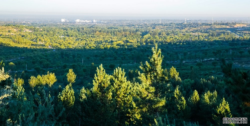 中国为亚太地区森林增长贡献巨大森林面积增加2650万公顷