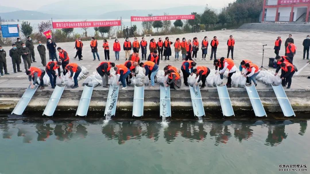 增殖放流活动现场。水利部供图