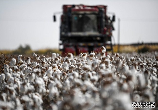 统计局：2021年全国棉花产量小幅下降单产有所提高