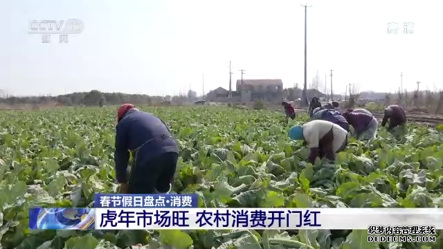 “年味儿”如何找？春节假日出游消费大盘点！