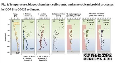 120℃下海底微生物生存秘诀揭示