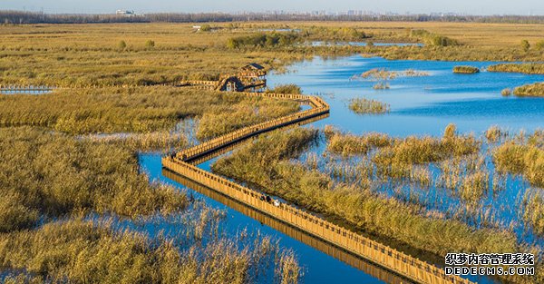 地下水水位止跌回升南水北调工程受水区地下水压采实现阶段性目标