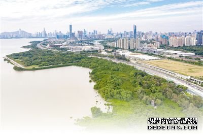 湿地保护润泽美丽中国（绿色家园）