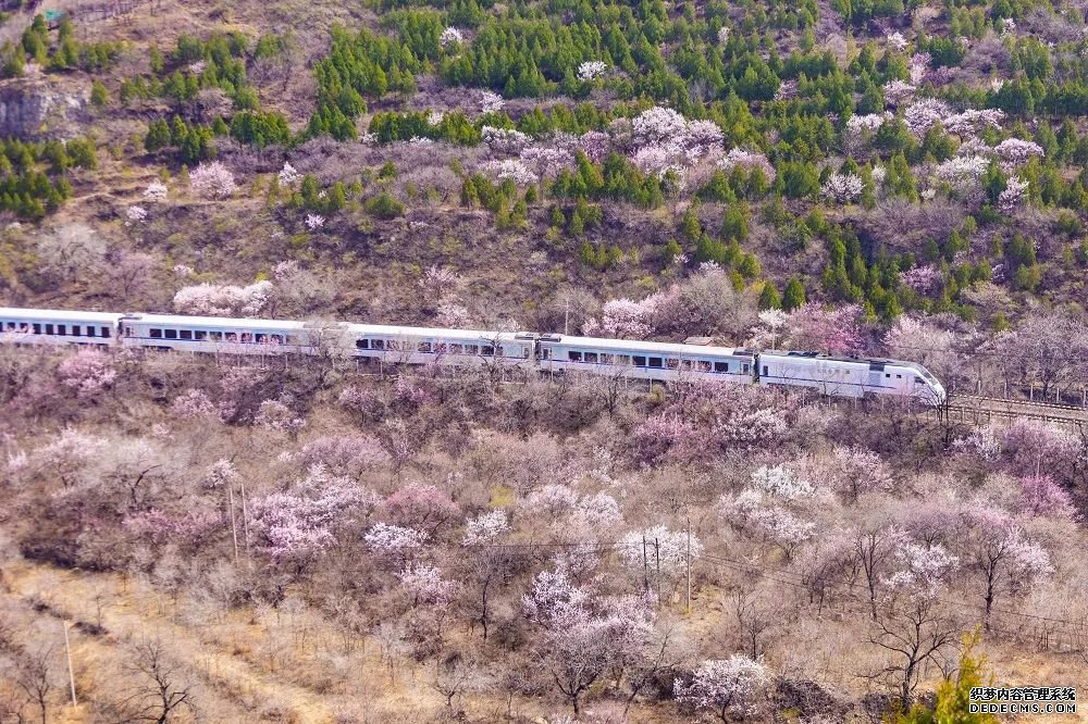 “网红”列车S2线“五一”假期临时加开4对列车