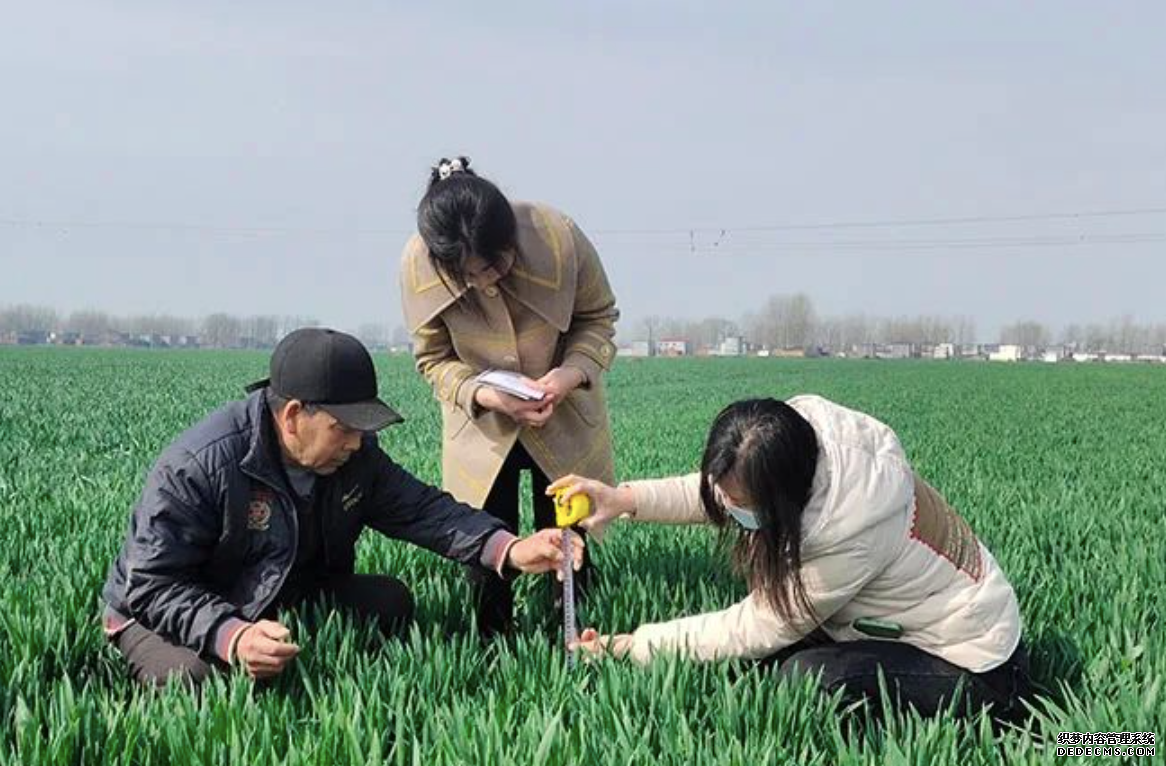 打好全年粮食生产第一仗精细气象服务筑牢粮食安全“压舱石”