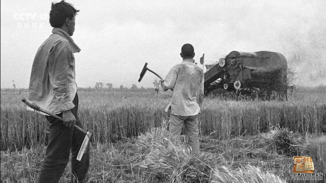 大国“粮”策|今天，农机称霸麦田，但我们也不会忘记曾经“麦客”的身影……