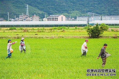 农业保险为农民撑起防护网