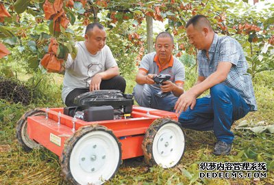 农业经理人奔忙在希望的田野（人民眼·乡村振兴新气象④）