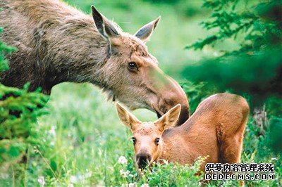 世界生物圈保护区成员增至738个