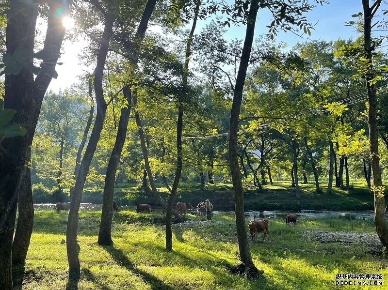 生态——近年来，新县坚持绿色发展理念，在建设美丽乡村的同时，保留了山水原貌。人民网 焦磊摄