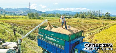 全年粮食夺取丰收有支撑（经济新方位·巩固经济回升向好趋势）