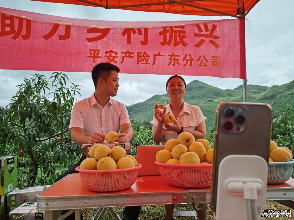 广东乳源：绿水青山长出“金山银山”