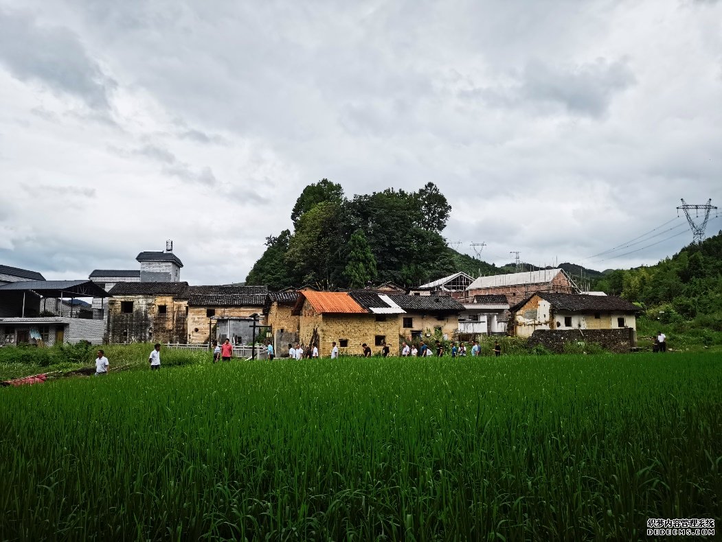 广东乳源：绿水青山长出“金山银山”