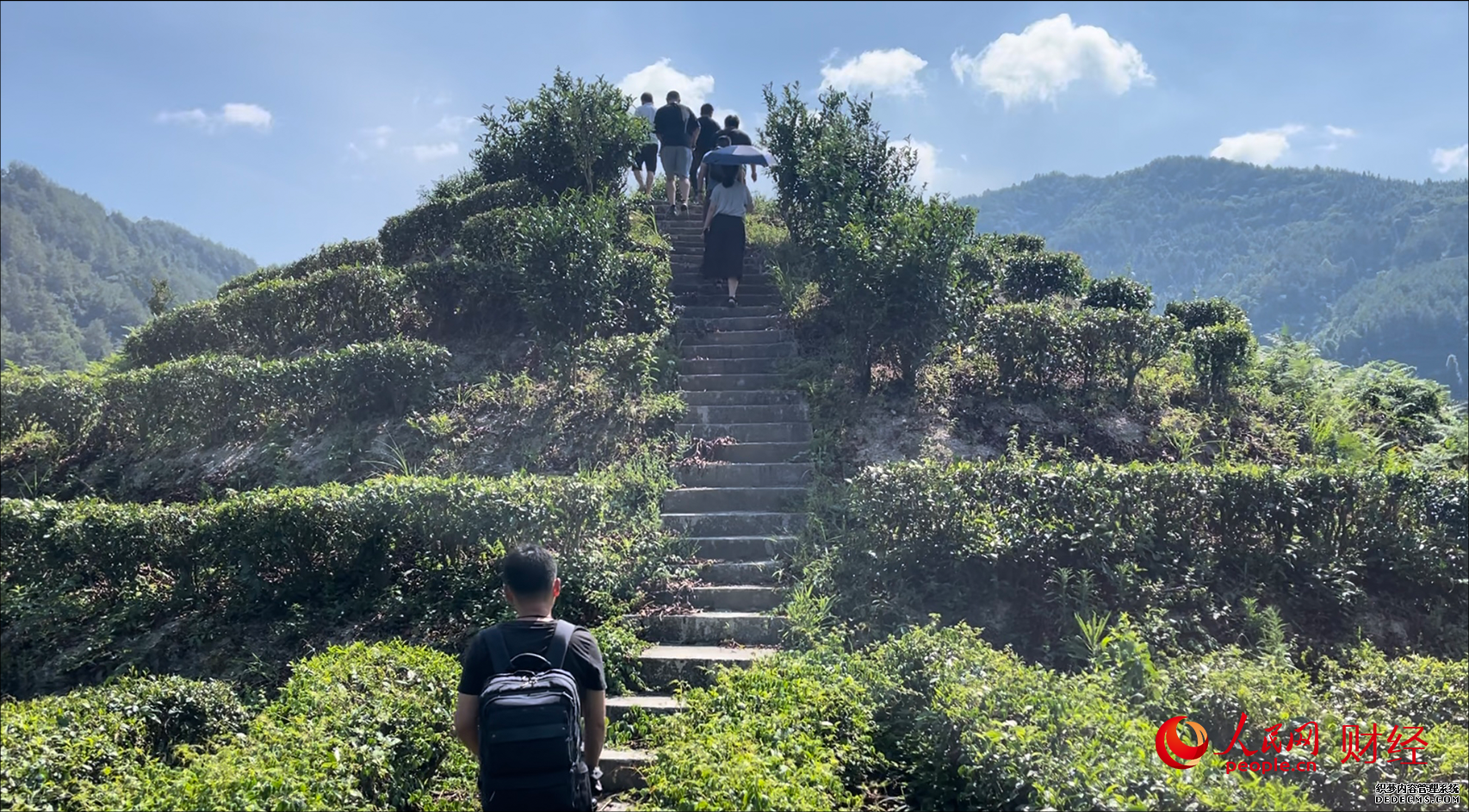 厚植农业产业发展沃土把“好丰景”印在农民的笑脸上