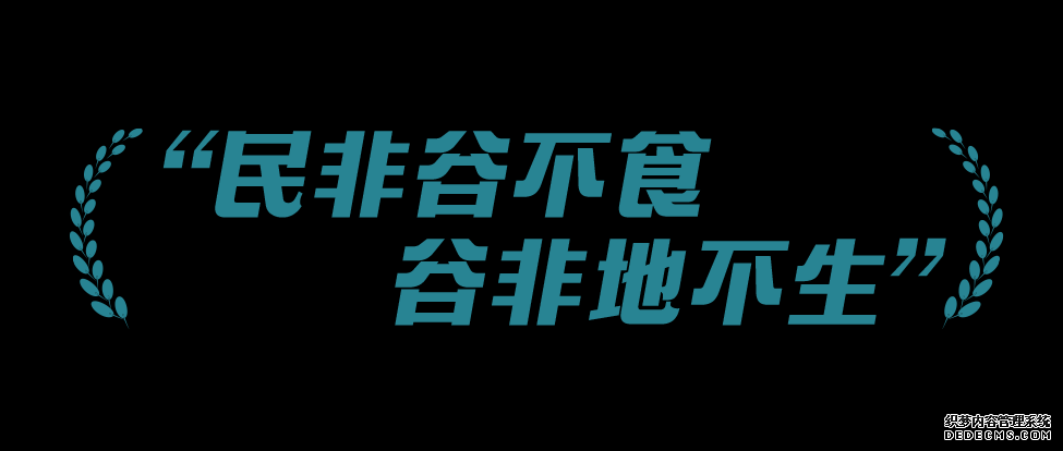 稻菽千重浪丨中国要强，农业必须强