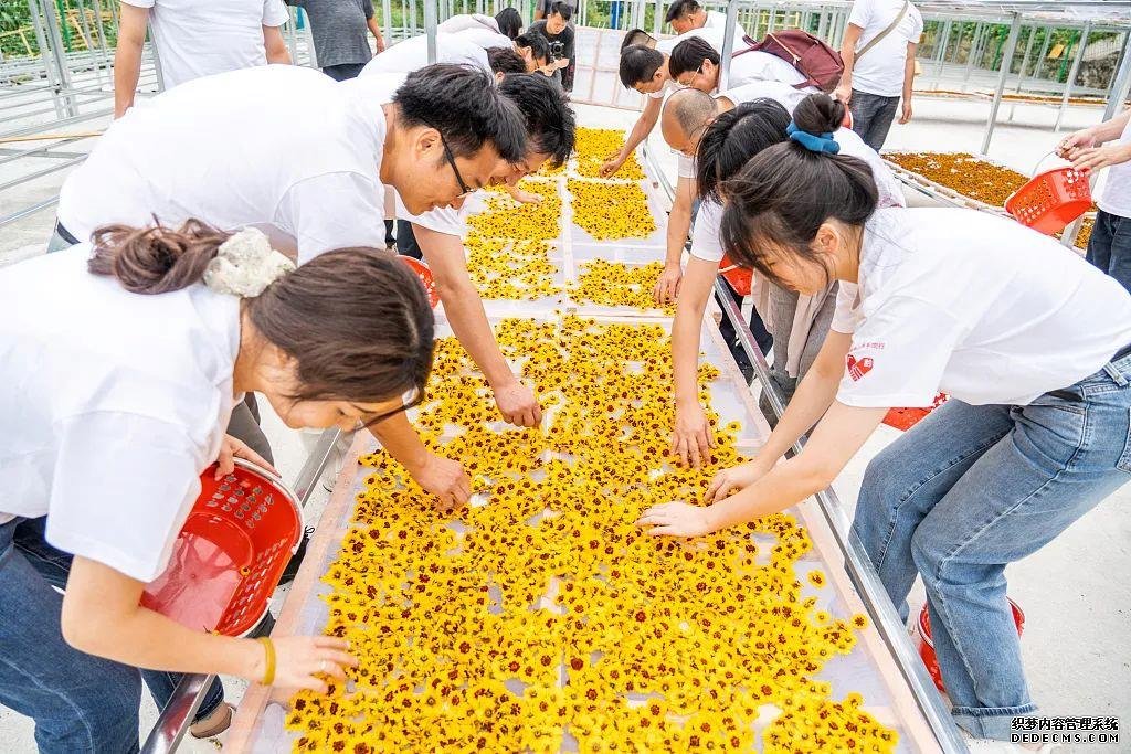 稻菽千重浪丨中国要美，农村必须美