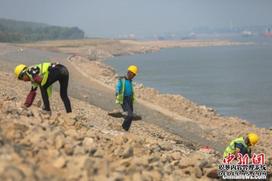 长江干流江西段崩岸应急治理工程施工“进行时”