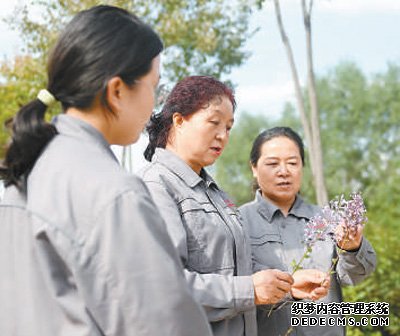 育好一株苗让丁香绽放高原之上（二十大代表风采）