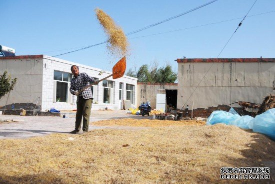 内蒙古巴彦淖尔：玉米不减产大豆额外赚