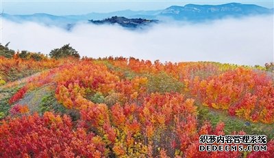 坚持山水林田湖草沙一体化保护和系统治理（新时代画卷·奋进十年）