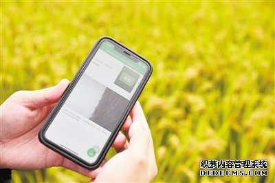 从4G同步到5G引领中国力量加速崛起