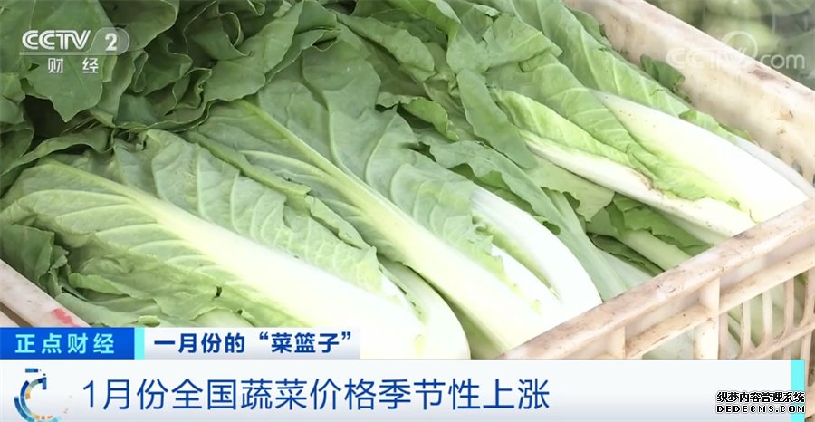 关注“菜篮子”生产供应 节后部分蔬菜品种价格下行