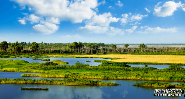 2022年我国新增国际重要湿地18处生物多样性丰富度提高
