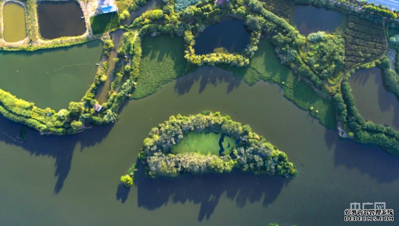 【大宏图·“县”在启航】江西南昌县：装配建筑“智”造新高度数字农场“慧”就新图景